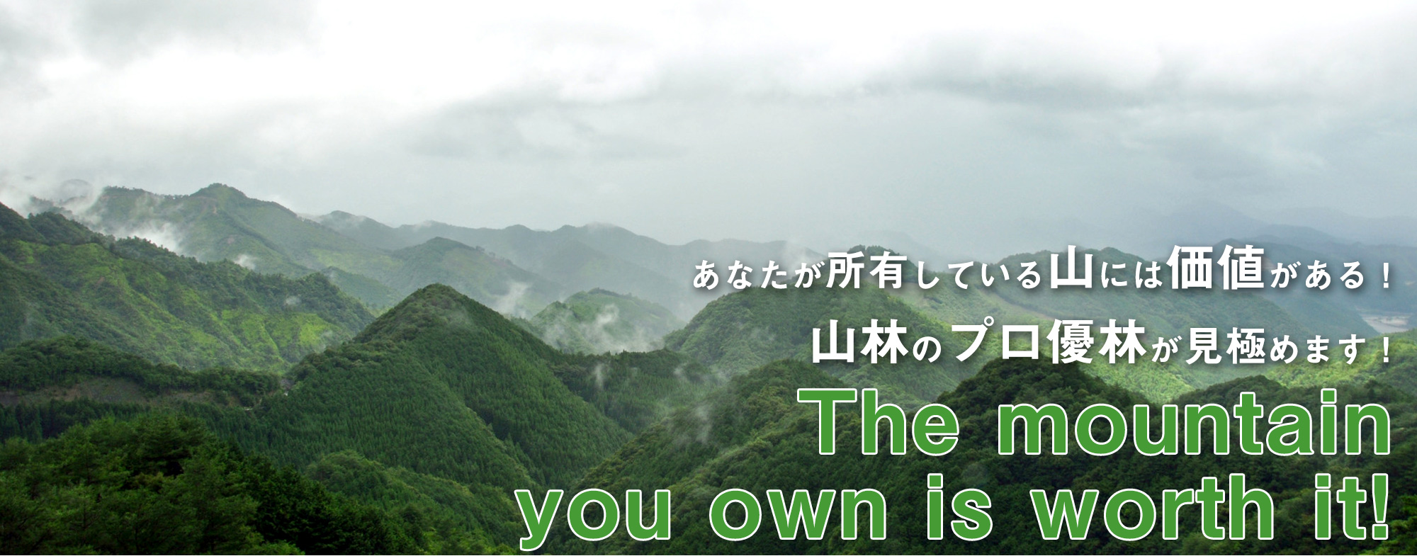 あなたが所有している山には価値がある！山林のプロ優林が見極めます！