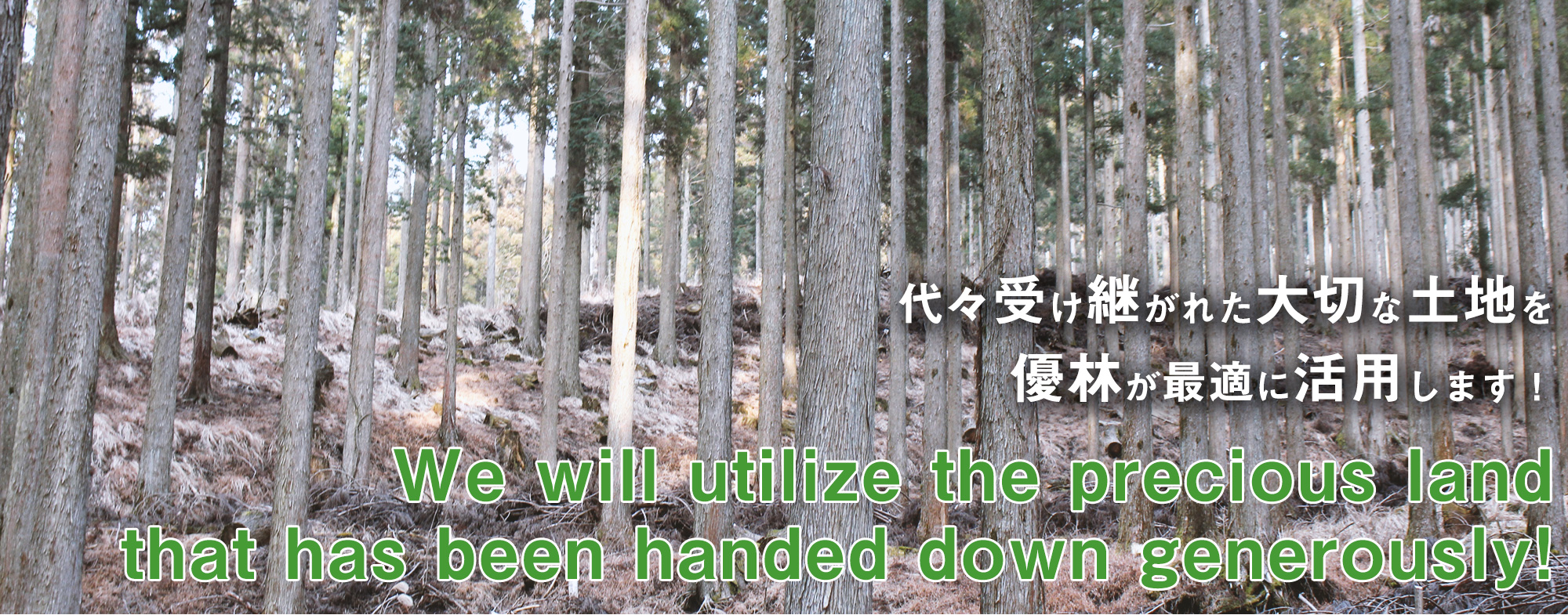 代々受け継がれた大切な土地を優林が最適に活用します！